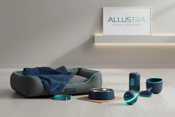 Pet comfort and care essentials for South African homes — Allustra South Africa