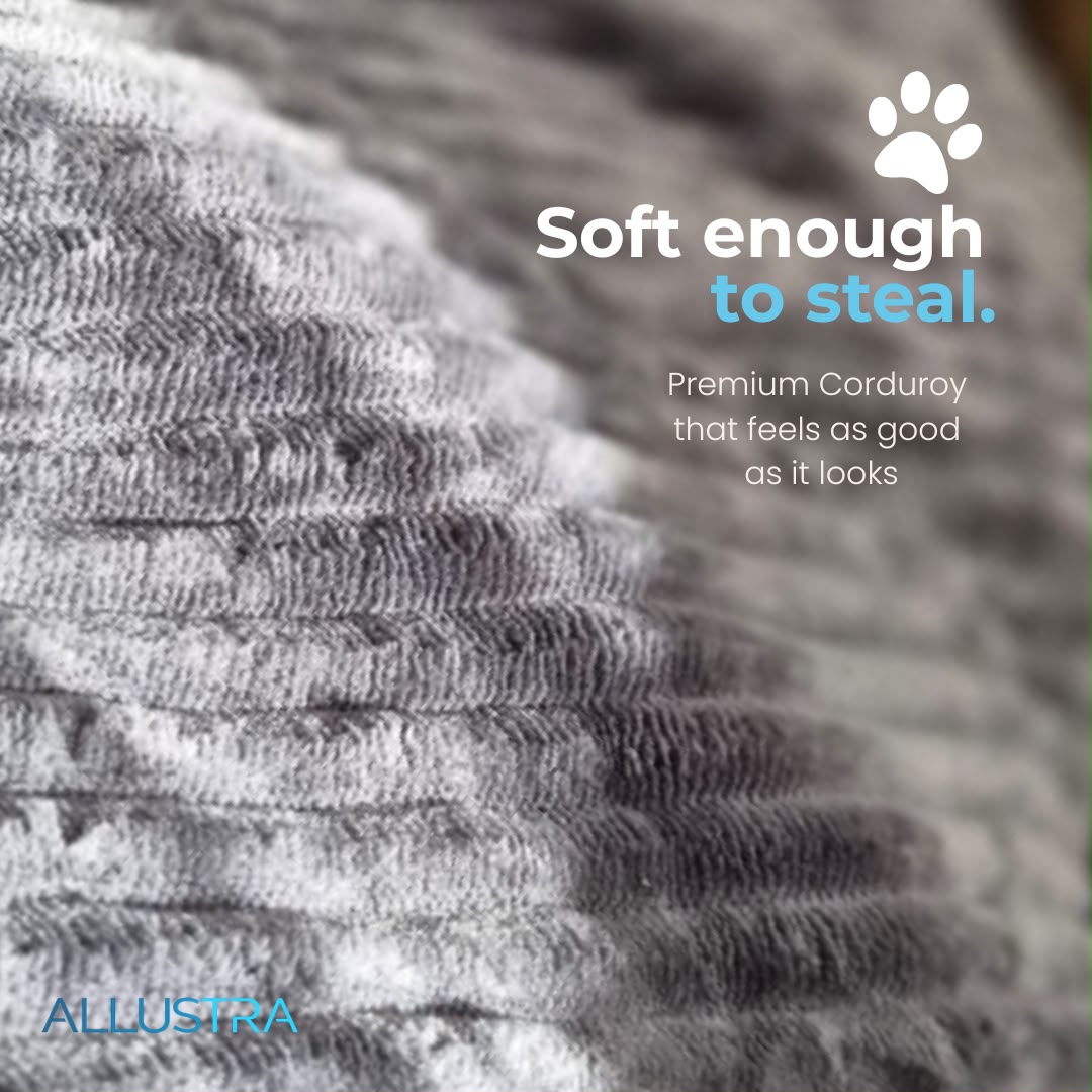 The Corduroy Cloud ALLUSTRA